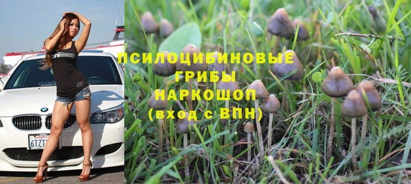 PSILOCYBIN Белокуриха