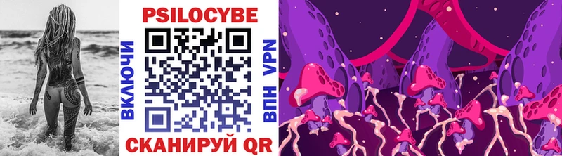 Галлюциногенные грибы ЛСД  MEGA tor  Вытегра 